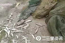 汉江边现20米长的地笼，数十条鱼“翻白肚”，谁干的图片