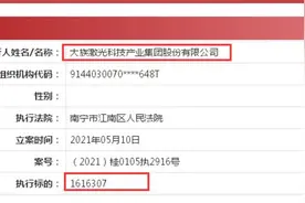 大族激光被列为被执行人！执行标的1616307！一全资子公司上个月刚被裁定冻结银行存款460万元图片