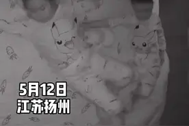 姐姐睡觉“练武术”弟弟惨被踢下床 网友：可怜兮兮爬上来，缩在角落图片