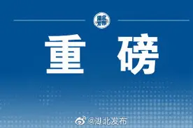 武汉市中小学招生新政出炉义务教育阶段公办学校划片对口 免试就近图片