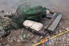 休渔期嘴馋下个地笼也违法！奉化两人被警方先后抓获图片