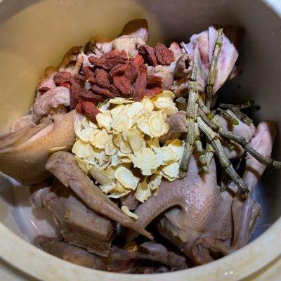 花旗参石斛花胶炖老鸽 2026年老鸽花旗参石斛汤 花旗参石斛花胶炖老鸽 2026年老鸽花旗参石斛汤