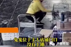 外卖小哥凌晨顺走十多斤的兔子，理由奇葩！偷之前还向失主请教养兔经验...图片
