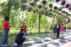 生态山水画廊！东营植物园成为市民打卡地图片
