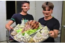 美食博主食用二级保护动物被刑拘 这些常见动植物也不能吃图片