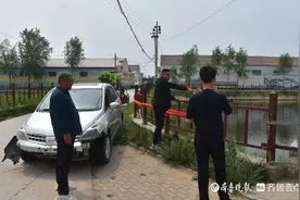 汽车冲入坑塘，聊城临清父子二人跳水救人图片