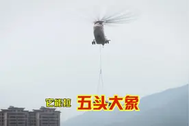 中国应急救援“黑科技”！能拉5头大象的救援直升机，见过吗视频封面