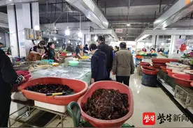 正是龙虾上市时，价格最低每斤10元图片