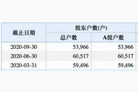 这家上市公司遭立案调查！5.4万股民懵了，停牌前连续三个跌停！发生了什么？图片