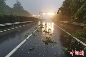 湖北5县市遭遇大暴雨 局地出现冰雹图片