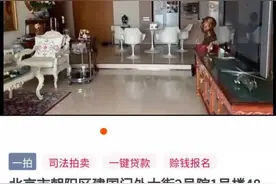 十余年前的北京楼王前两天1.66亿低调成交，户主的女儿你一定知道图片