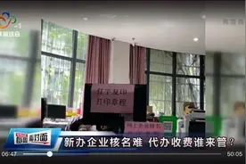 新办企业核名难、“一网通办”碰壁，武汉电视问政曝光企业开办中的“梗阻”问题图片