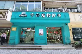 长宁这家宠物诊所也可为兔子、乌龟等异宠看病！图片