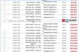 总价超25亿元！青岛西海岸新区24宗住宅地块成功出让图片