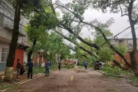 湖南岳阳局地出现12级大风，部分地区受灾，受灾地区干部群众正全力抢险救灾图片