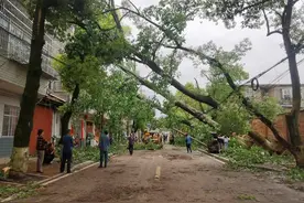 湖南岳阳局地出现12级大风 部分地区受灾图片