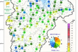 江西九江遭9级大风袭击，大树连根拔起，积水深达1米图片