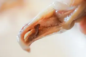 出了南京很难吃到的顶流美味，鲜嫩多汁，本地人才知道图片