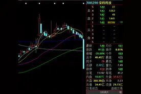 开盘闪崩跌停20%，15576户股东“躺枪”！网友炸锅：跌10个点的时候感觉不对劲，赶紧卖了......图片