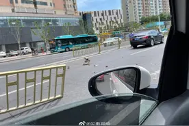 突发！济南经十路发生交通事故护栏损坏图片