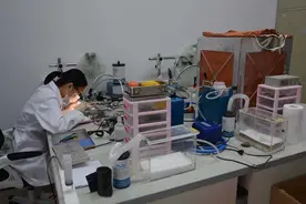 科创未来 | 这个实验室，探索的是“纳美人”的秘密图片