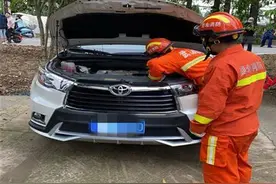 小蛇躲进汽车避雨，居民吓得直发抖，社区卫士主动出击保居民安心图片