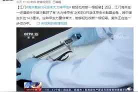 江门海关截获3只活体大力神甲虫 能轻松咬断一根铅笔图片