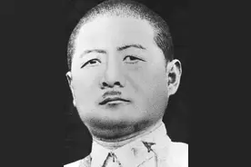 奋斗百年路 启航新征程·数风流人物｜吉鸿昌：恨不抗日死，留作今日羞图片
