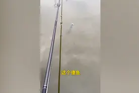 侮辱性极强！男子钓鱼未果遭鱼“吐口水”，回家后意难平的行为笑翻网友图片