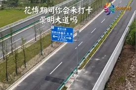 崇明花博丨花博会期间，崇明大道将临时性开放机动车道视频封面