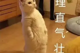 有一种自信，叫“我的普通话很标准”……图片