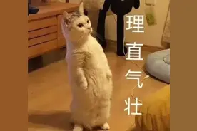 有一种自信，叫“我的普通话很标准”……图片