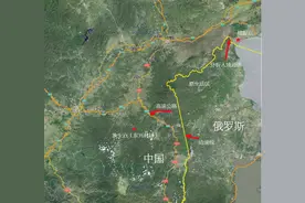 东北虎“完达山1号”放归，专家：越早放成功率越高图片