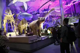 上海自然博物馆举办今年首场“博物馆之夜”，未来还有三场图片