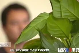 被“门卫签收”的网购手机不翼而飞？！“幽灵包裹”牵出上亿元大案图片