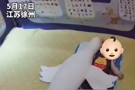创意十足！宝宝断奶第二天 奶奶自制“大白鹅”神器哄娃睡觉图片