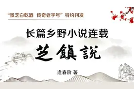 乡野小说《芝镇说》35|一百年前，女休男！王辫抗婚书石破天惊图片