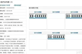 国内车牌迎来更新？网上曝出新一代车牌设计专利图图片