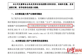 搞房地产不如卖玻尿酸！又一家开发商说再见，还未“卖货”股价已涨5倍图片