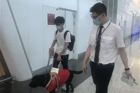 天河机场迎来一位特殊旅客，原来导盲犬是这样登机的图片