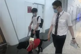 天河机场迎来一位特殊旅客，原来导盲犬是这样登机的图片
