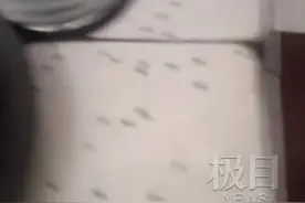 工厂被叫停留下一袋10多公斤虫卵，鄂州一村庄遭苍蝇围攻图片