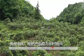 贵州余庆：枇杷产业助力乡村振兴视频封面