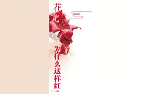 万千芳华，绚烂华南植物园图片
