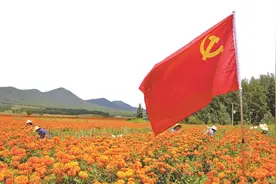 「党旗在国企高高飘扬」云南工投集团传承红色基因聚力实业发展图片