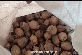 罂粟壳黑市多流向小吃市场，长期使用其提取物的汤料有这些危害图片