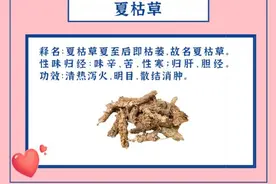 520，以中药之名表白图片