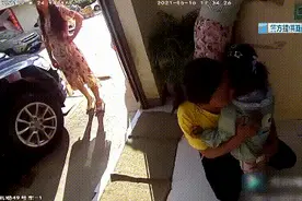 急人！昆明一女童独自在街头徘徊！民警竟在麻将馆里找到妈妈…图片