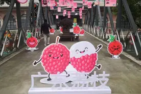 吃荔枝啦！广东荔枝大量入沪，三个新品种上市，这款冰荔300元一斤图片