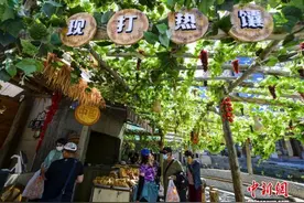 中国知名专家学者看新疆：每个细节都折射出新变化图片